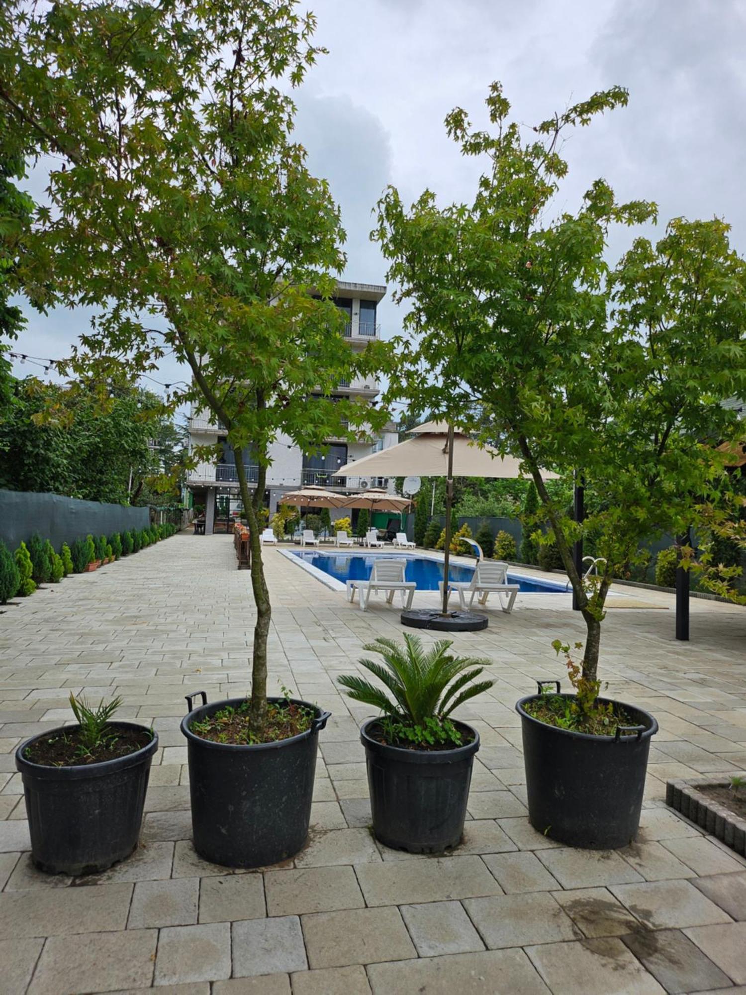 Green Terrace Кобулети Екстериор снимка